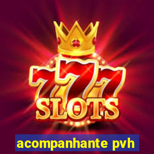 acompanhante pvh